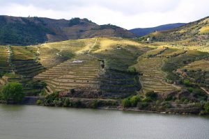 IMG 6070