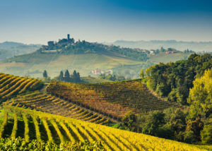 Langhe vineyards of Piedmont Italy in autumn 1200x854