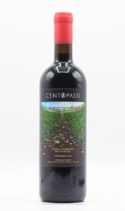 CentopassiPietre