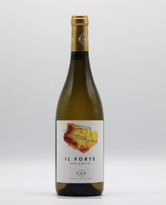 IlForteGavi